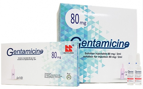 Gentamicine 80mg/2ml amp inj